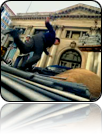 collage_image