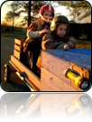 collage_image
