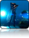 collage_image
