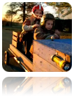 collage_image