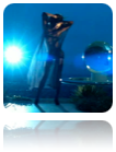collage_image