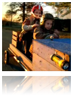 collage_image