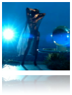 collage_image